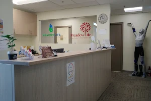 MeadowLife Physiotherapy and Active Rehab Center image
