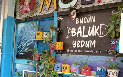 Mola balık image