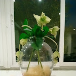 Photo n°3 de l'avis de Anvish.e fait le 20/10/2018 à 17:30 sur le  Hotel Cavalluccio Marino à Santa Marinella