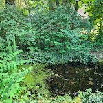 Photo n°4 de l'avis de Jens.� fait le 22/06/2023 à 19:10 sur le  Restaurant HANAUER Bub à Hanau