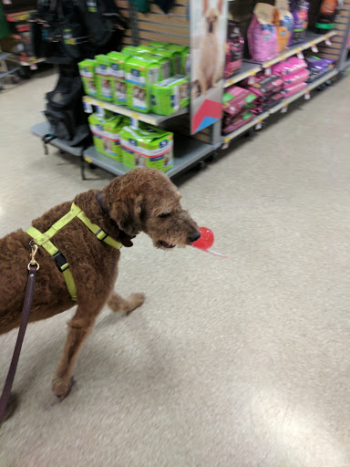 Pet Supply Store «PetSmart», reviews and photos, 5857 NJ-42, Turnersville, NJ 08012, USA