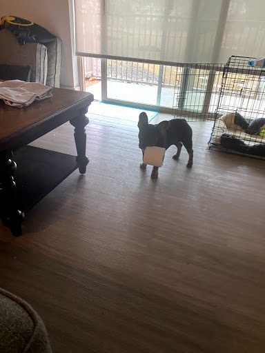 Pet Supply Store «Petco Animal Supplies», reviews and photos, 8700 Preston Rd #105, Plano, TX 75024, USA