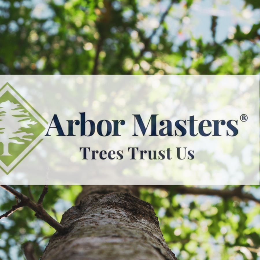Arbor Masters of Fort Worth