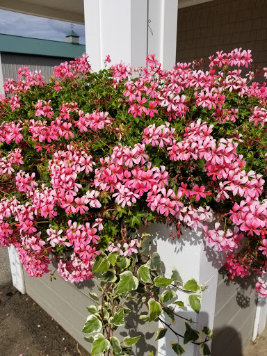 Farm «Four Town Farm», reviews and photos, 90 George St, Seekonk, MA 02771, USA