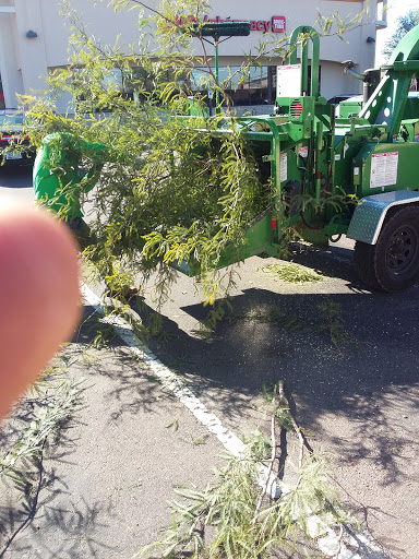 Sporting Goods Store «Big 5 Sporting Goods», reviews and photos, 921 E Southern Ave, Tempe, AZ 85282, USA