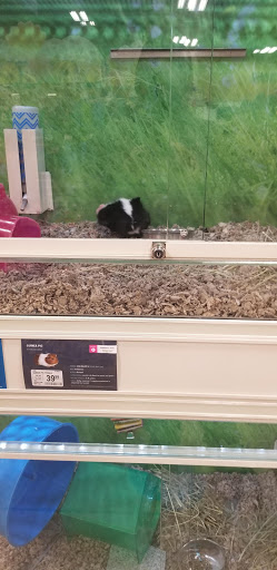 Pet Supply Store «PetSmart», reviews and photos, 162 S Gary Ave, Bloomingdale, IL 60108, USA