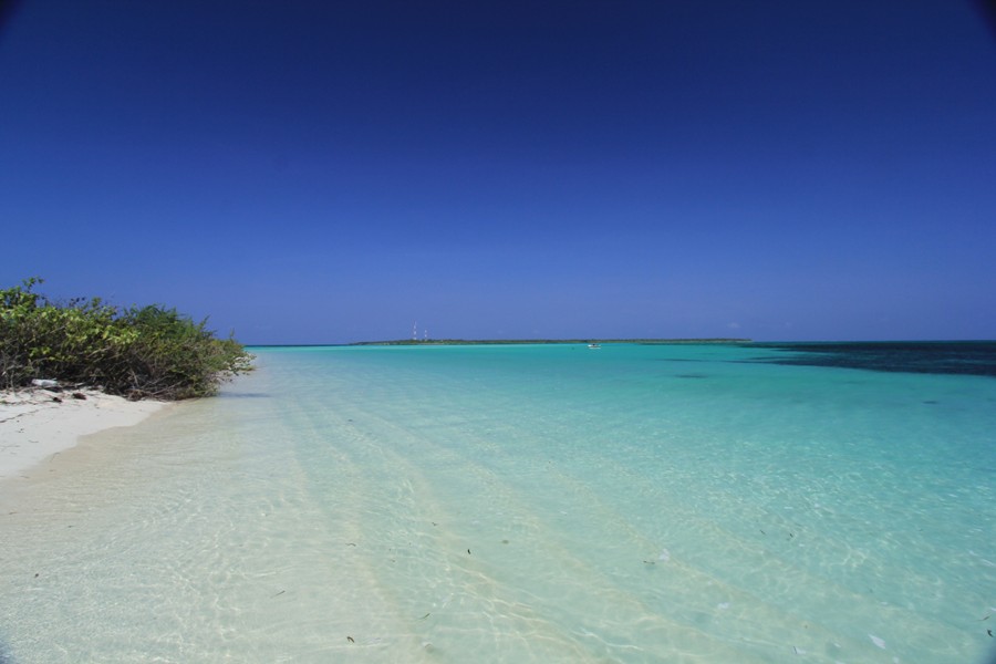Fehendhoo Thundi Beach的照片 带有碧绿色纯水表面