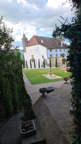 Rezensionen über Schloss Thielle in Val-de-Ruz - Andere