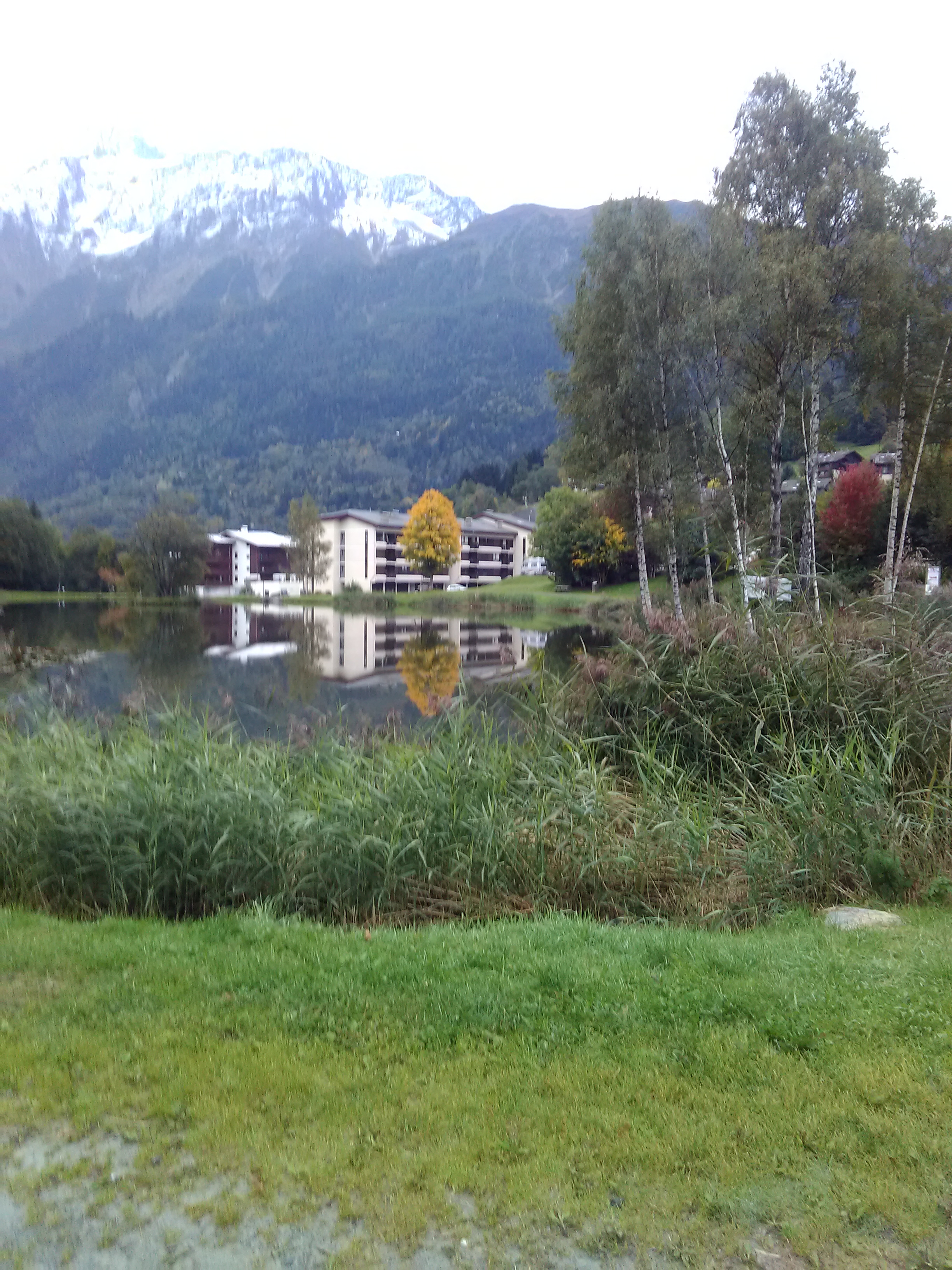 Photo n° 1 de l'avis de Regina.e fait le 26/09/2017 à 08:06