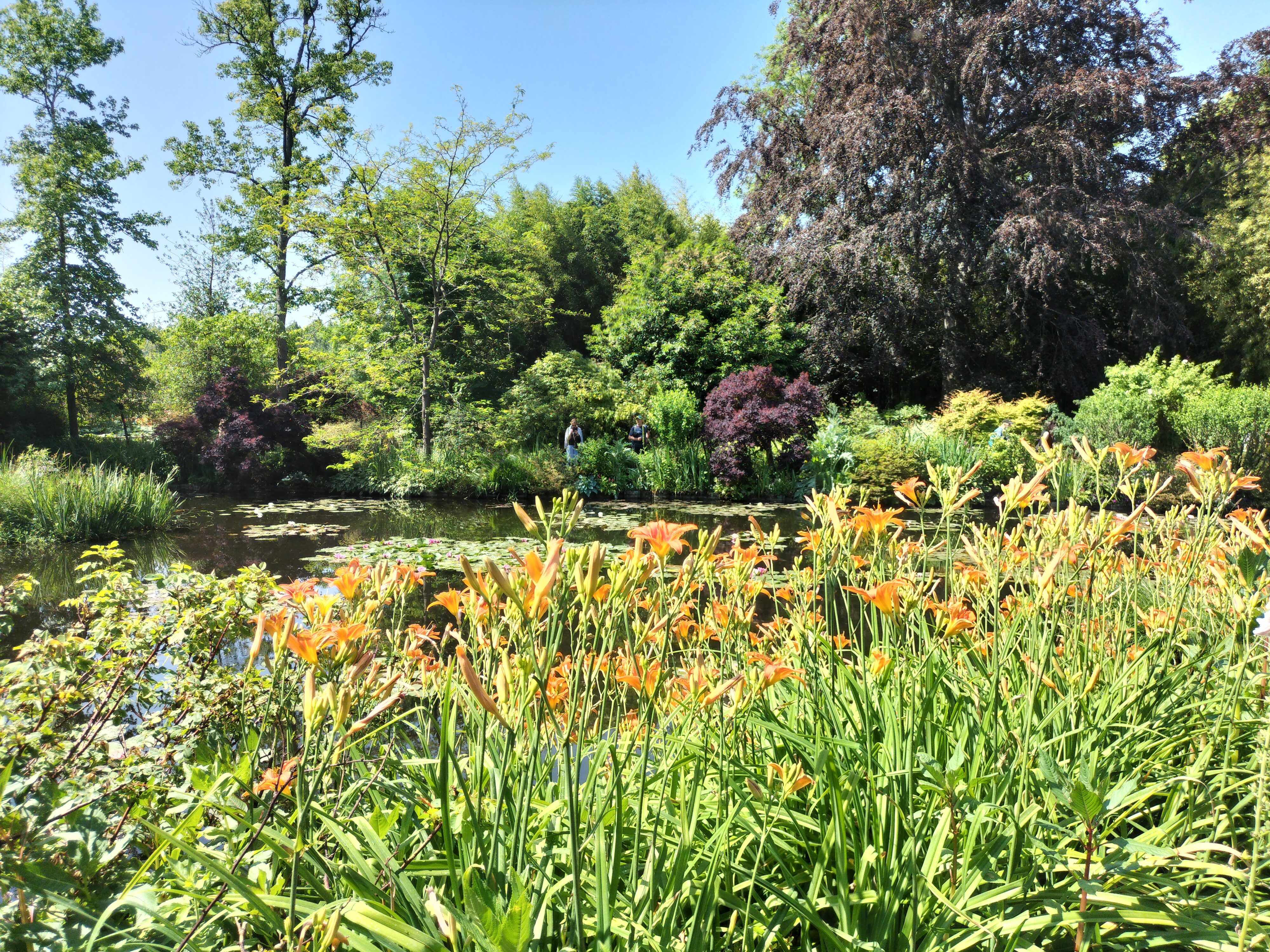 Photo n° 48 de l'avis de didier.e fait le 15/06/2023 à 13:38