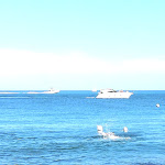 Photo n°1 de l'avis de Piero.a fait le 30/07/2018 à 08:05 sur le  The House and the Sea à Mattinata