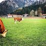 Sapori Italiani Schliersee