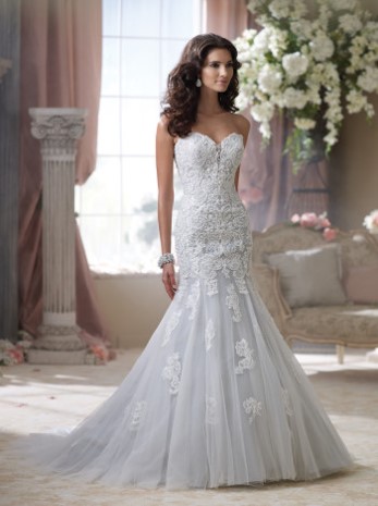 Bridal Shop «Divas Closet Bridal Boutique», reviews and photos, 1034 Merriam Ln, Kansas City, KS 66103, USA
