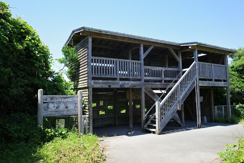 大井川河口野鳥園