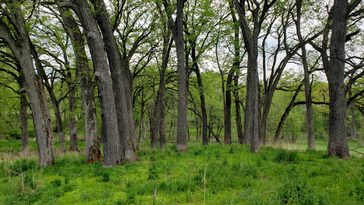 Nature Preserve «Penny Road Pond», reviews and photos, Penny Rd, Barrington, IL 60010, USA