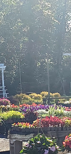 Florist «Hanover Floral Company», reviews and photos, 61 Ridgedale Ave, East Hanover, NJ 07936, USA