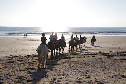 Centre équestre Centre Equestre l'Eperon Quiberon