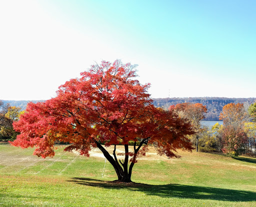 Museum «Hudson River Museum», reviews and photos, 511 Warburton Ave, Yonkers, NY 10701, USA