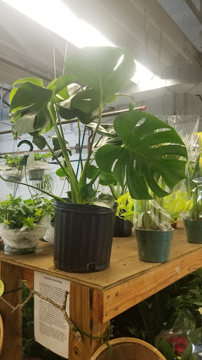 Florist «Sieck-Wright Floral Products», reviews and photos, 231 Monmouth St, Hightstown, NJ 08520, USA