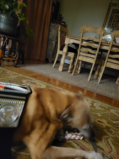 Bakery «Krispy Kreme Doughnuts», reviews and photos, 960 Patton Ave, Asheville, NC 28806, USA