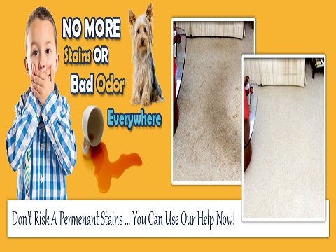 Carpet Cleaning Friendswood Texas in Inez, Texas