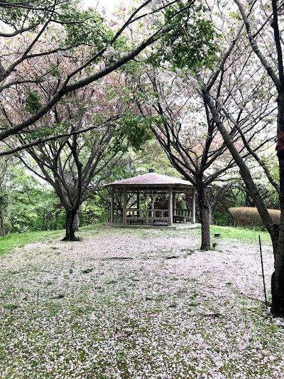 浄土ヶ浜 お花めぐりコース