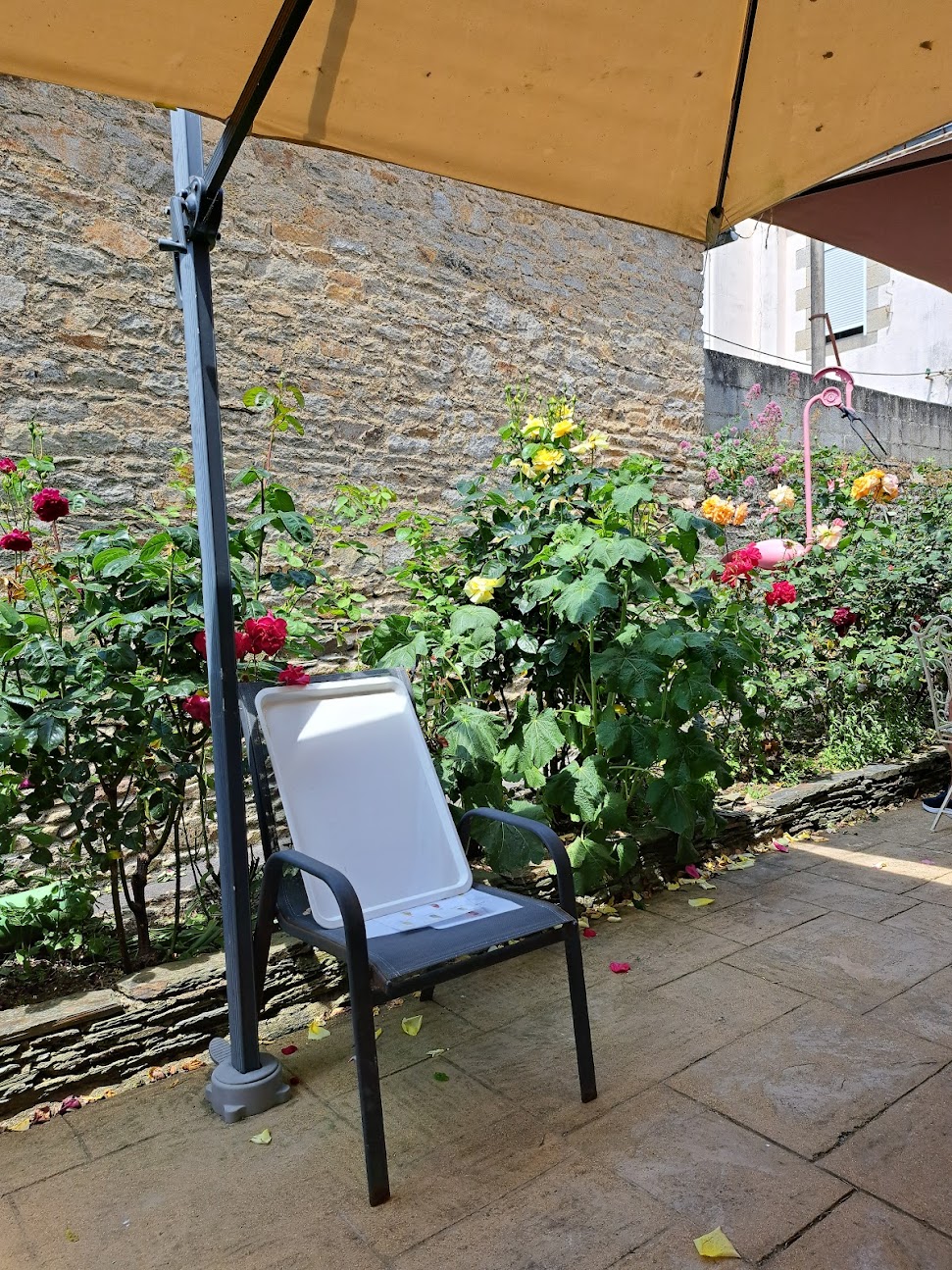 Photo de La Terrasse