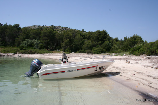Lojisce beach