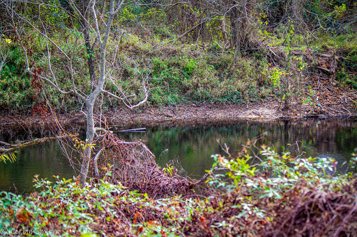 Nature Preserve «Montgomery County Preserve», reviews and photos, 1118 Pruitt Rd, The Woodlands, TX 77380, USA