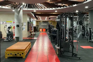 OrlandoFit Green Gold Gym image