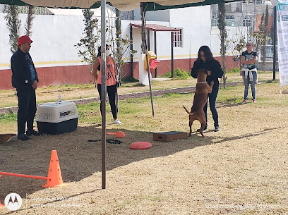 Parque Club Canino Tultepec