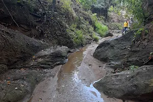 Pozos Minerales Usiacurí image