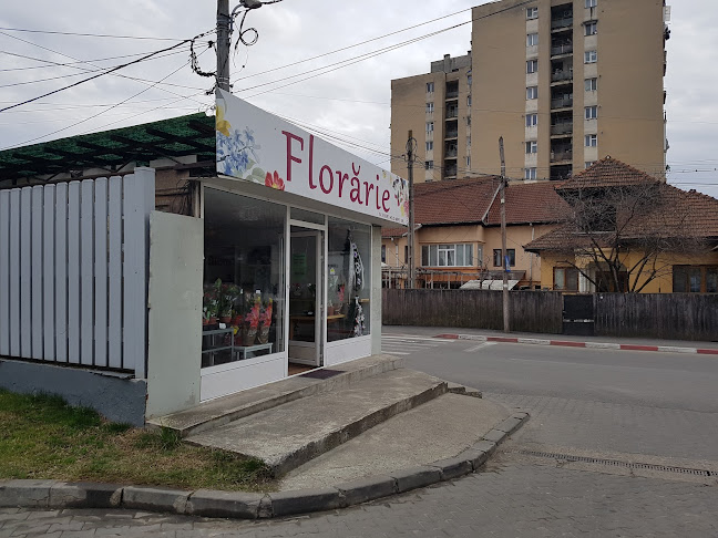 Opinii despre Ebert Hold Impex Srl în <nil> - Florărie