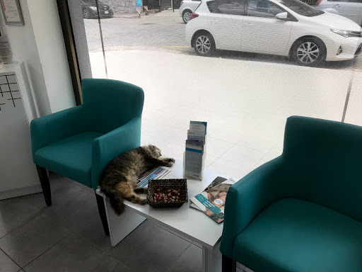 Orl-D İşitme Cihazları