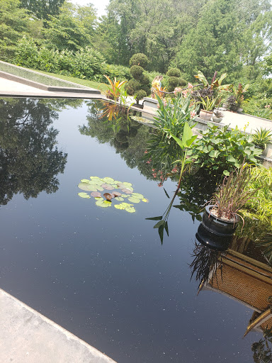 Botanical Garden «Olbrich Botanical Gardens», reviews and photos, 3330 Atwood Ave, Madison, WI 53704, USA