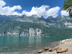 Photo de Strandbad Mols zone sauvage