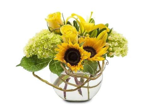 Florist «Chenoweth Floral & Greenhouses», reviews and photos, 563 Old Hwy 8 SW, St Paul, MN 55112, USA