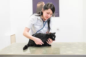 Veterinary clinic Ahlen image