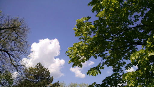 Park «Inwood Park», reviews and photos, 2308 Vine St, Cincinnati, OH 45219, USA