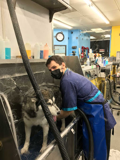 Pet Supply Store «Ridge Dog Shop», reviews and photos, 1505 N Parham Rd, Richmond, VA 23229, USA