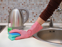 The Cleaning Daisies - Photo 5 - Car repair in , Jacksonville