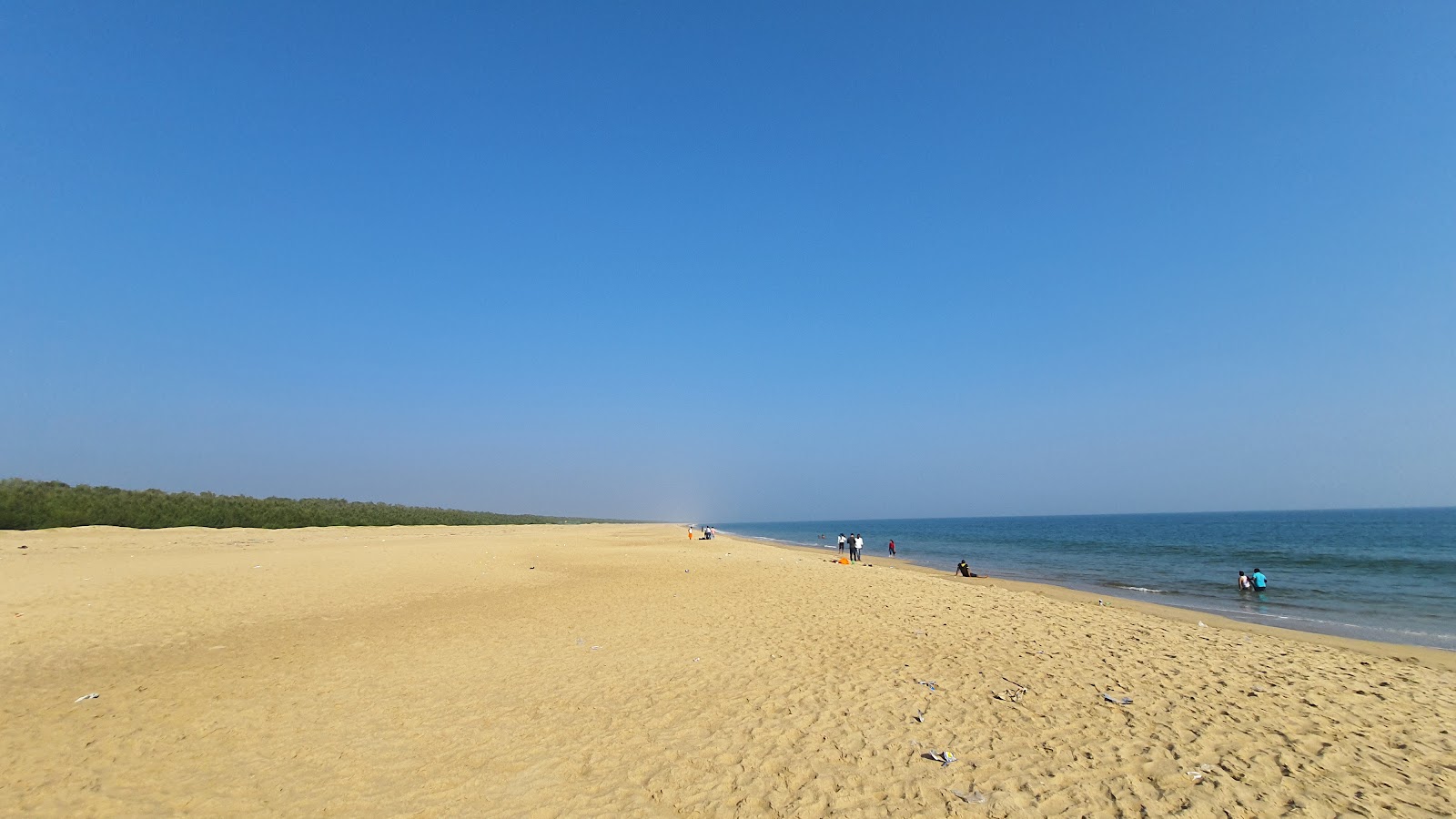 Fotografija Astaranga Sea Beach divje območje