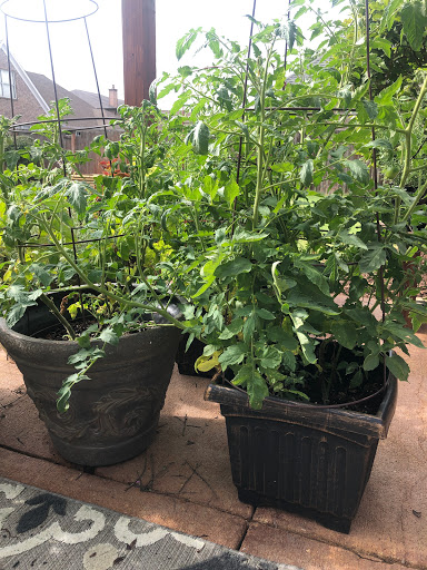 Hardware Store «Stewart Brothers Hardware Co», reviews and photos, 7715 US-70, Memphis, TN 38133, USA