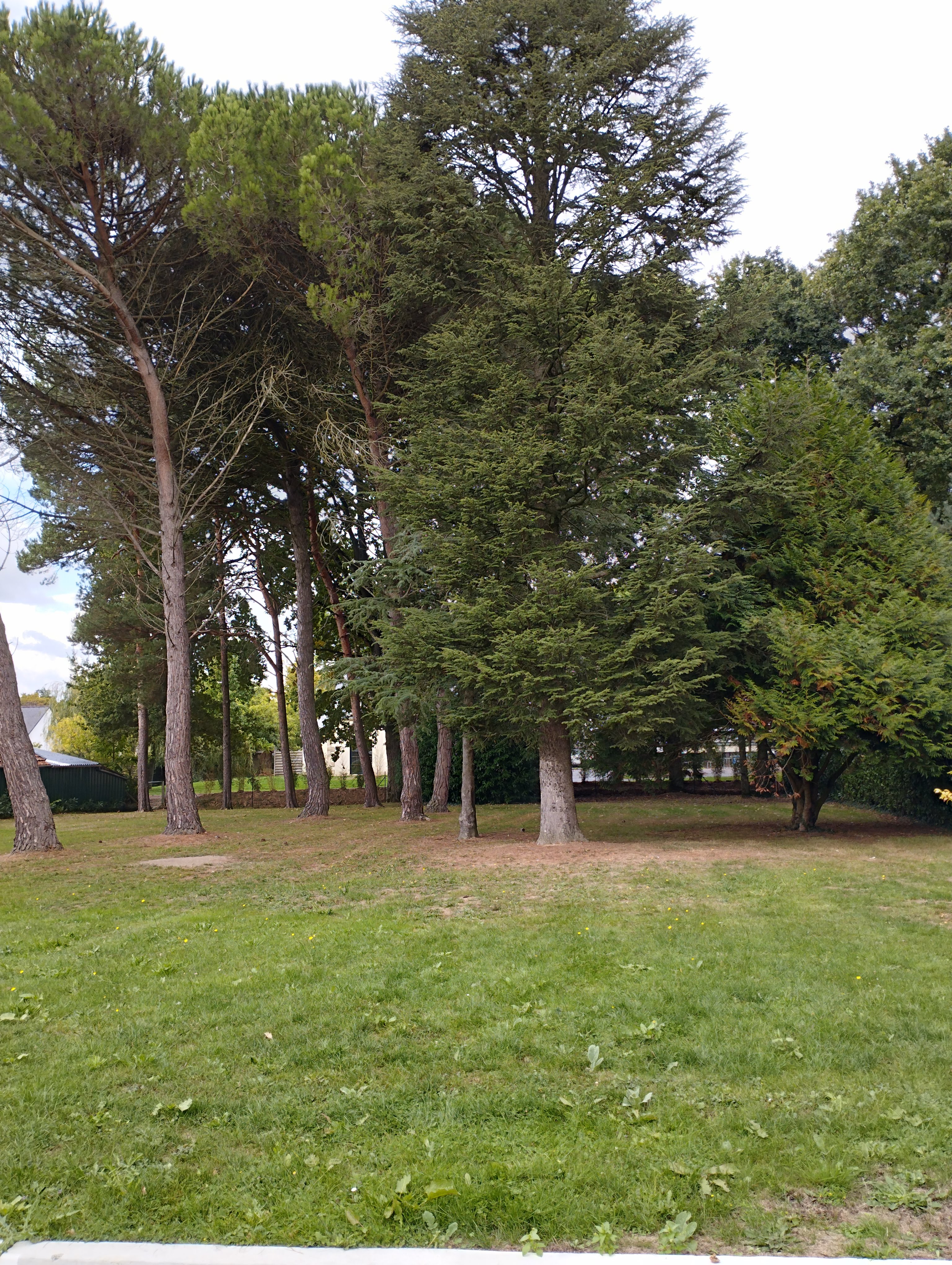 Photo n° 1 de l'avis de Bernard.a fait le 27/09/2022 à 13:48