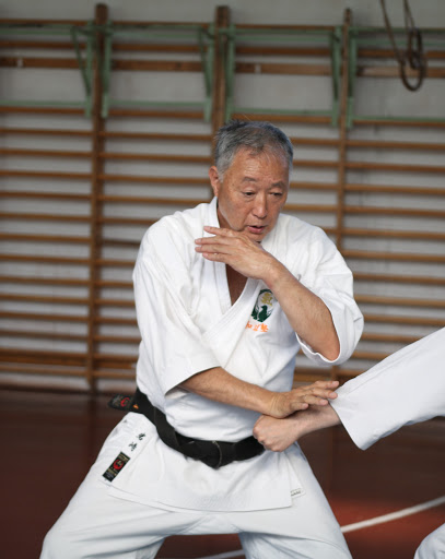 Karate-Do Wado Kenshu Kai International