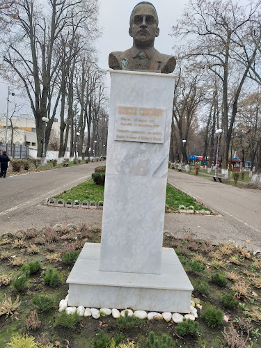 Opinii despre Statuie ,,Mircea Cancicov" în <nil> - Avocat