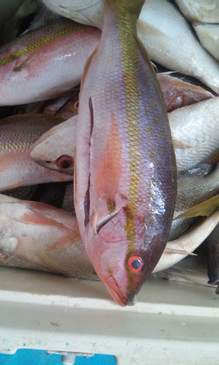 Pescadería La Estrella del Mar