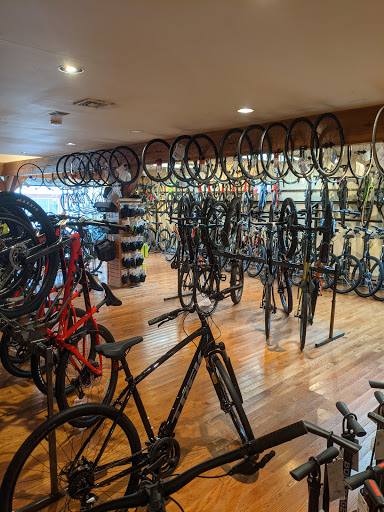 Bicycle Store «Brielle Cyclery», reviews and photos, 205 Union Ave, Brielle, NJ 08730, USA
