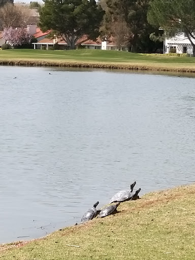 Golf Club «Paso Robles Golf Club», reviews and photos, 1600 Country Club Dr, Paso Robles, CA 93446, USA