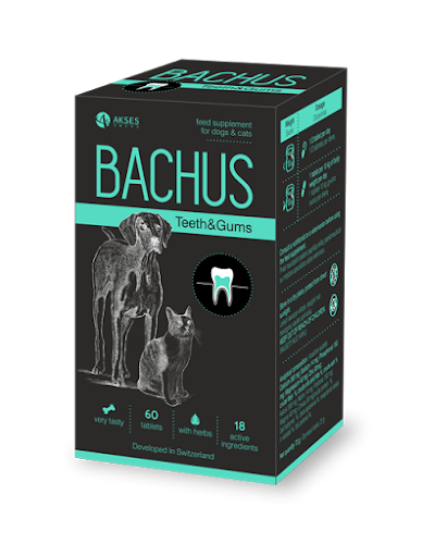Отзиви за Бахус - хранителни добавки за кучета и котки/Bachus - feed supplements for dogs and cats в Божурище - Бар